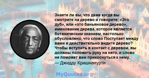 Знаете ли вы, что даже когда вы смотрите на дерево и говорите: «Это дуб», или «это баньяновое дерево», именование дерева, которое является ботаническим знанием, настолько обусловлено, что слово Поступает между вами и