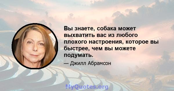 Вы знаете, собака может выхватить вас из любого плохого настроения, которое вы быстрее, чем вы можете подумать.