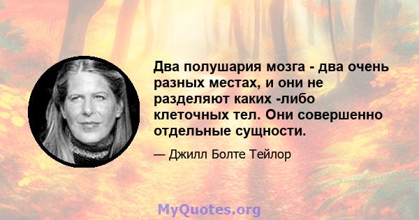 Два полушария мозга - два очень разных местах, и они не разделяют каких -либо клеточных тел. Они совершенно отдельные сущности.