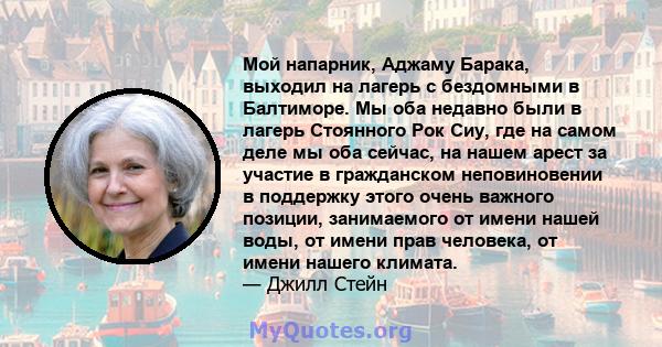 Мой напарник, Аджаму Барака, выходил на лагерь с бездомными в Балтиморе. Мы оба недавно были в лагерь Стоянного Рок Сиу, где на самом деле мы оба сейчас, на нашем арест за участие в гражданском неповиновении в поддержку 