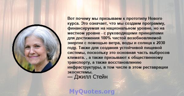 Вот почему мы призываем к прототипу Нового курса. Это означает, что мы создаем программу, финансируемая на национальном уровне, но на местном уровне - с руководящими принципами для достижения 100% чистой возобновляемой