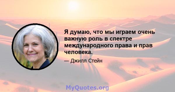 Я думаю, что мы играем очень важную роль в спектре международного права и прав человека.