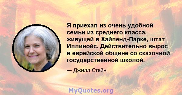 Я приехал из очень удобной семьи из среднего класса, живущей в Хайленд-Парке, штат Иллинойс. Действительно вырос в еврейской общине со сказочной государственной школой.