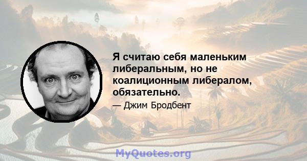 Я считаю себя маленьким либеральным, но не коалиционным либералом, обязательно.