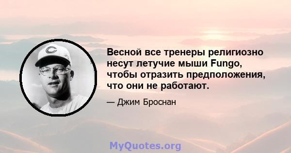 Весной все тренеры религиозно несут летучие мыши Fungo, чтобы отразить предположения, что они не работают.