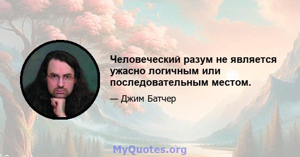 Человеческий разум не является ужасно логичным или последовательным местом.