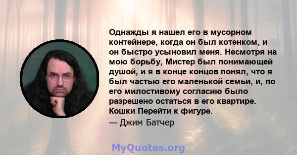 Однажды я нашел его в мусорном контейнере, когда он был котенком, и он быстро усыновил меня. Несмотря на мою борьбу, Мистер был понимающей душой, и я в конце концов понял, что я был частью его маленькой семьи, и, по его 