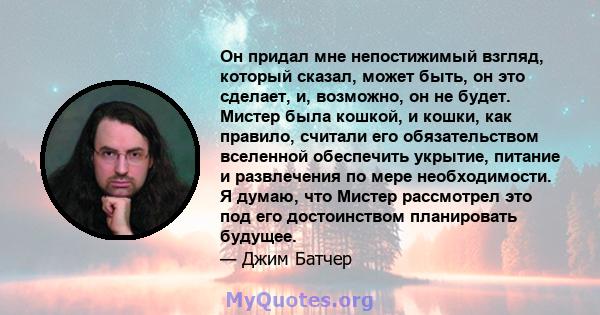 Он придал мне непостижимый взгляд, который сказал, может быть, он это сделает, и, возможно, он не будет. Мистер была кошкой, и кошки, как правило, считали его обязательством вселенной обеспечить укрытие, питание и