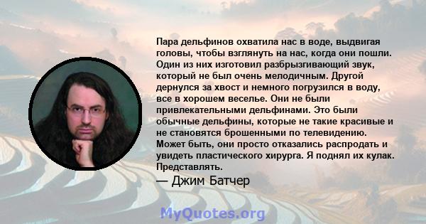 Пара дельфинов охватила нас в воде, выдвигая головы, чтобы взглянуть на нас, когда они пошли. Один из них изготовил разбрызгивающий звук, который не был очень мелодичным. Другой дернулся за хвост и немного погрузился в