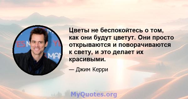 Цветы не беспокойтесь о том, как они будут цветут. Они просто открываются и поворачиваются к свету, и это делает их красивыми.