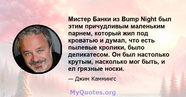 Мистер Банки из Bump Night был этим причудливым маленьким парнем, который жил под кроватью и думал, что есть пылевые кролики, было деликатесом. Он был настолько крутым, насколько мог быть, и ел грязные носки.