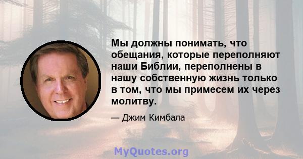 Мы должны понимать, что обещания, которые переполняют наши Библии, переполнены в нашу собственную жизнь только в том, что мы примесем их через молитву.