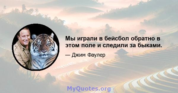 Мы играли в бейсбол обратно в этом поле и следили за быками.