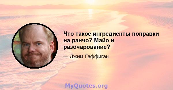 Что такое ингредиенты поправки на ранчо? Майо и разочарование?