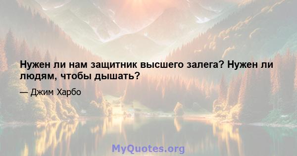 Нужен ли нам защитник высшего залега? Нужен ли людям, чтобы дышать?