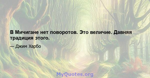 В Мичигане нет поворотов. Это величие. Давняя традиция этого.