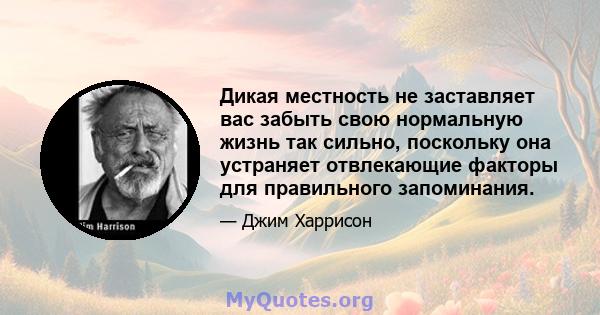 Дикая местность не заставляет вас забыть свою нормальную жизнь так сильно, поскольку она устраняет отвлекающие факторы для правильного запоминания.