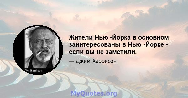 Жители Нью -Йорка в основном заинтересованы в Нью -Йорке - если вы не заметили.