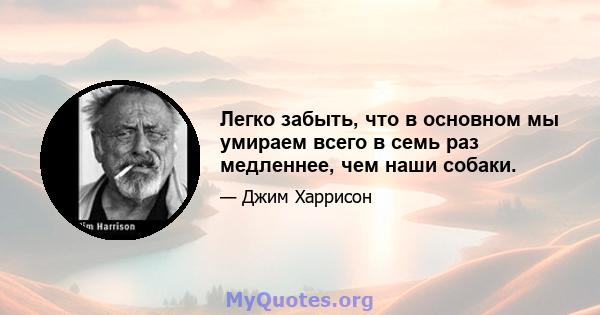 Легко забыть, что в основном мы умираем всего в семь раз медленнее, чем наши собаки.