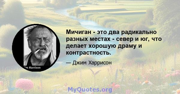 Мичиган - это два радикально разных местах - север и юг, что делает хорошую драму и контрастность.