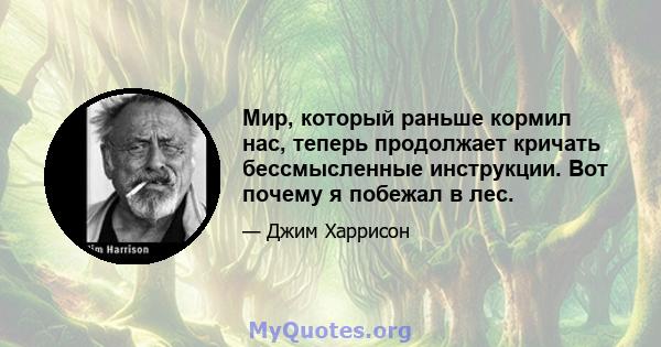 Мир, который раньше кормил нас, теперь продолжает кричать бессмысленные инструкции. Вот почему я побежал в лес.