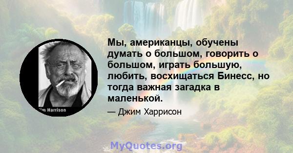 Мы, американцы, обучены думать о большом, говорить о большом, играть большую, любить, восхищаться Бинесс, но тогда важная загадка в маленькой.