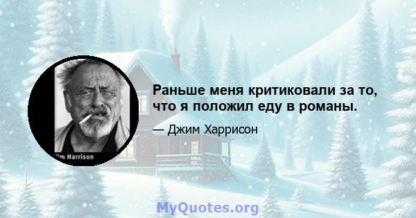 Раньше меня критиковали за то, что я положил еду в романы.