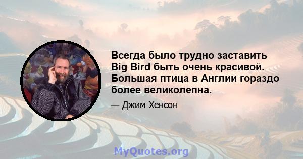 Всегда было трудно заставить Big Bird быть очень красивой. Большая птица в Англии гораздо более великолепна.