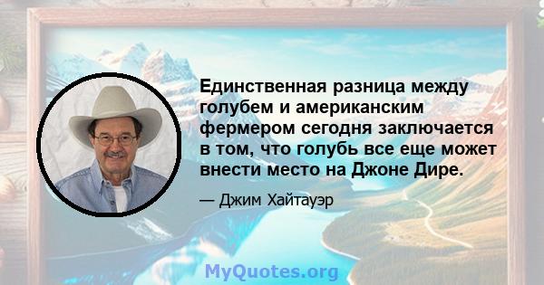 Единственная разница между голубем и американским фермером сегодня заключается в том, что голубь все еще может внести место на Джоне Дире.