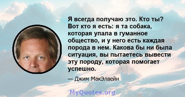 Я всегда получаю это. Кто ты? Вот кто я есть: я та собака, которая упала в гуманное общество, и у него есть каждая порода в нем. Какова бы ни была ситуация, вы пытаетесь вывести эту породу, которая помогает успешно.