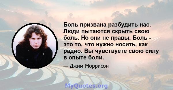 Боль призвана разбудить нас. Люди пытаются скрыть свою боль. Но они не правы. Боль - это то, что нужно носить, как радио. Вы чувствуете свою силу в опыте боли.