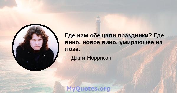 Где нам обещали праздники? Где вино, новое вино, умирающее на лозе.