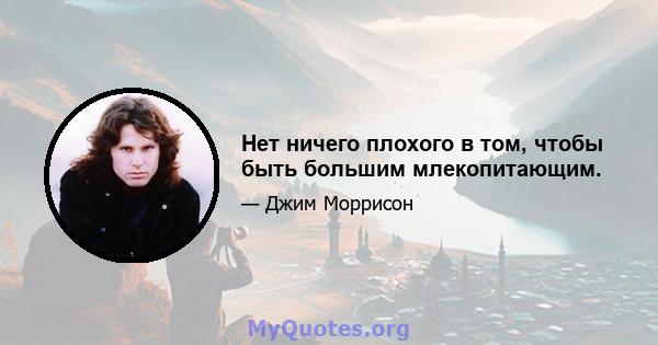 Нет ничего плохого в том, чтобы быть большим млекопитающим.