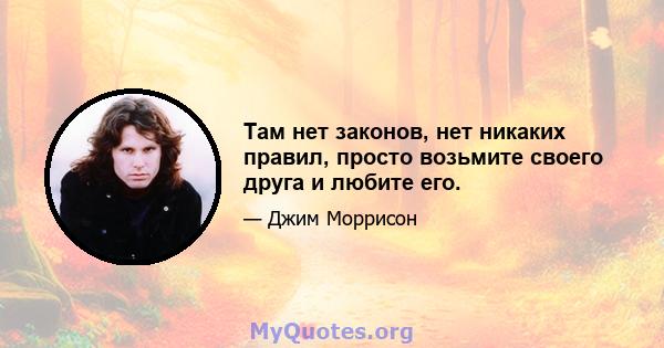 Там нет законов, нет никаких правил, просто возьмите своего друга и любите его.