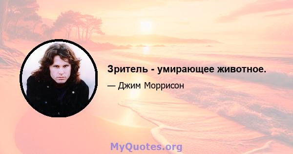 Зритель - умирающее животное.