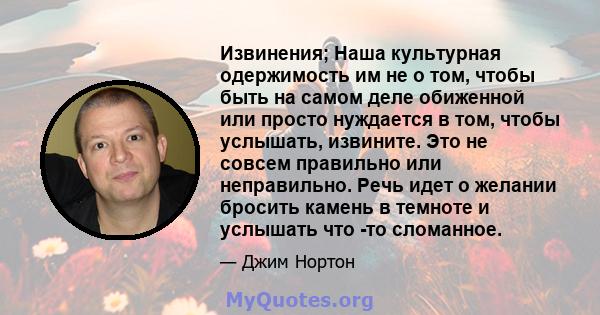 Извинения; Наша культурная одержимость им не о том, чтобы быть на самом деле обиженной или просто нуждается в том, чтобы услышать, извините. Это не совсем правильно или неправильно. Речь идет о желании бросить камень в