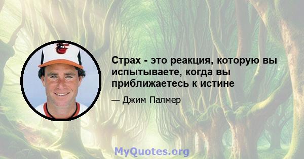 Страх - это реакция, которую вы испытываете, когда вы приближаетесь к истине