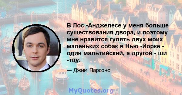 В Лос -Анджелесе у меня больше существования двора, и поэтому мне нравится гулять двух моих маленьких собак в Нью -Йорке - один мальтийский, а другой - ши -тцу.