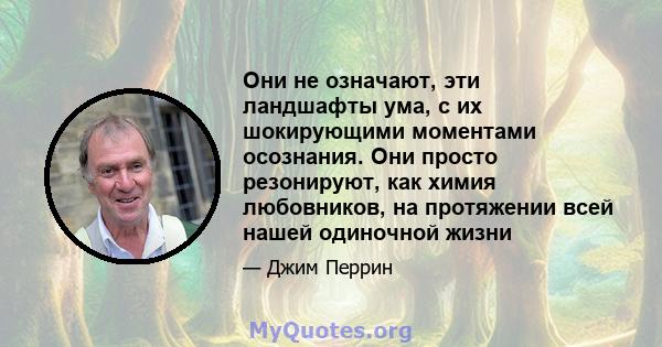 Они не означают, эти ландшафты ума, с их шокирующими моментами осознания. Они просто резонируют, как химия любовников, на протяжении всей нашей одиночной жизни