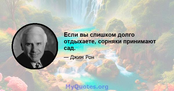 Если вы слишком долго отдыхаете, сорняки принимают сад.