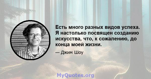 Есть много разных видов успеха. Я настолько посвящен созданию искусства, что, к сожалению, до конца моей жизни.