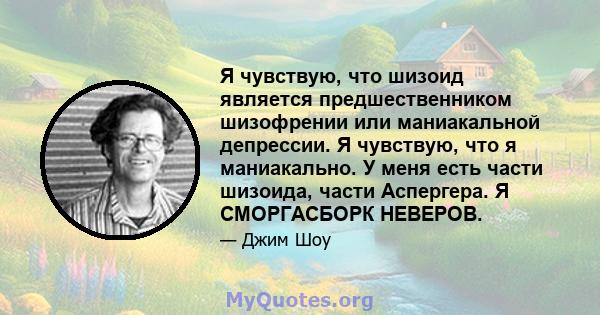 Я чувствую, что шизоид является предшественником шизофрении или маниакальной депрессии. Я чувствую, что я маниакально. У меня есть части шизоида, части Аспергера. Я СМОРГАСБОРК НЕВЕРОВ.