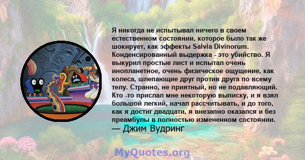 Я никогда не испытывал ничего в своем естественном состоянии, которое было так же шокирует, как эффекты Salvia Divinorum. Конденсированный выдержка - это убийство. Я выкурил простые лист и испытал очень инопланетное,