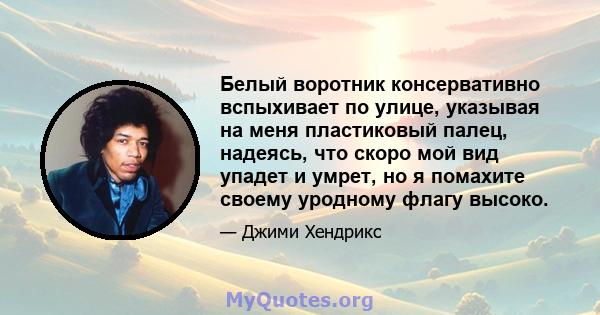 Белый воротник консервативно вспыхивает по улице, указывая на меня пластиковый палец, надеясь, что скоро мой вид упадет и умрет, но я помахите своему уродному флагу высоко.