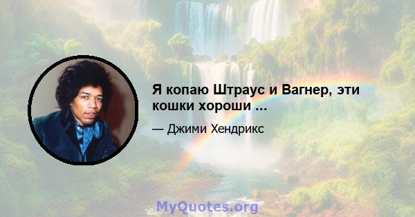 Я копаю Штраус и Вагнер, эти кошки хороши ...