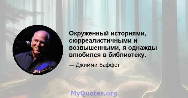 Окруженный историями, сюрреалистичными и возвышенными, я однажды влюбился в библиотеку.