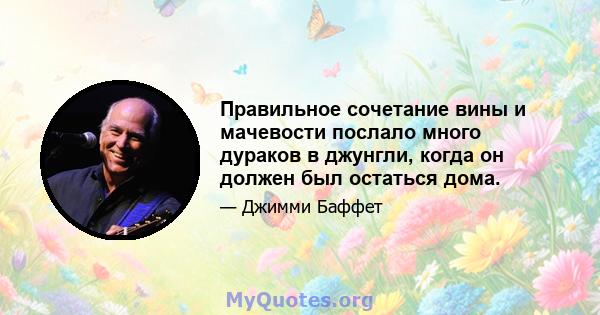 Правильное сочетание вины и мачевости послало много дураков в джунгли, когда он должен был остаться дома.