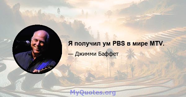 Я получил ум PBS в мире MTV.