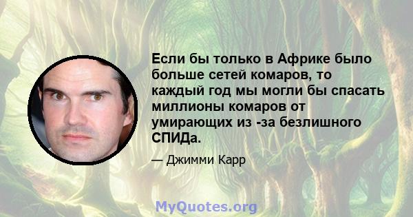 Если бы только в Африке было больше сетей комаров, то каждый год мы могли бы спасать миллионы комаров от умирающих из -за безлишного СПИДа.