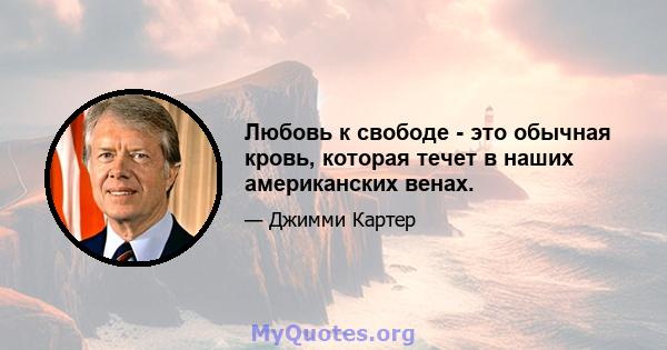 Любовь к свободе - это обычная кровь, которая течет в наших американских венах.